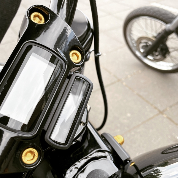 Riser Schrauben - pass. f. Softail & Dyna Modelle